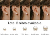 Freshwater 6.0 x 6.5 MM Pearl Stud Earrings